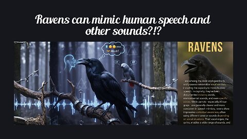 Fun Fact for Oct 10th 2025 Pt 2