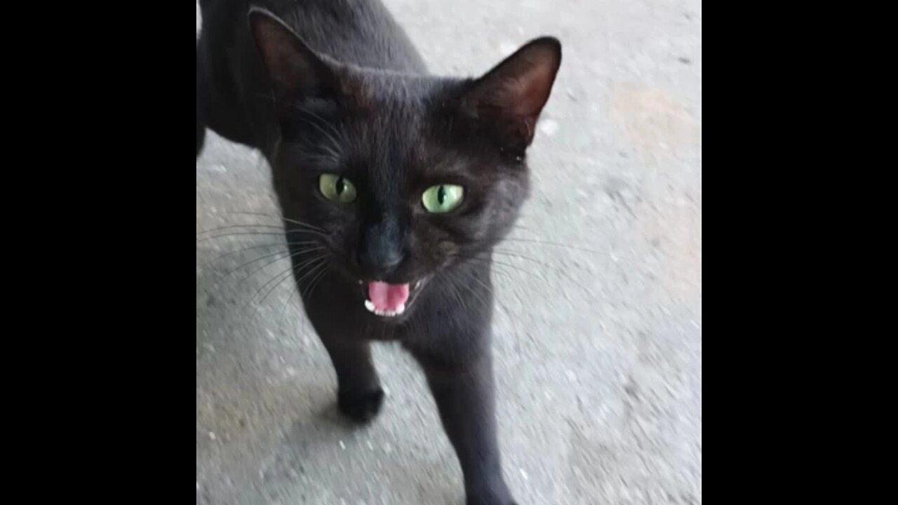 Booking information check description SERVICE #1 Music Collaboration or SERVICE #18 READINGZ