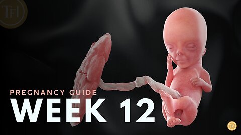 What to Expect at Week 12 | Week by Week Pregnancy Guide