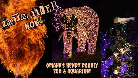 HAPPY HALLOWEEN! | Omaha Zoo's Zootacular