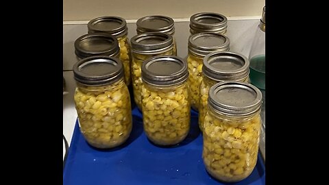 Hominy from yellow dent corn