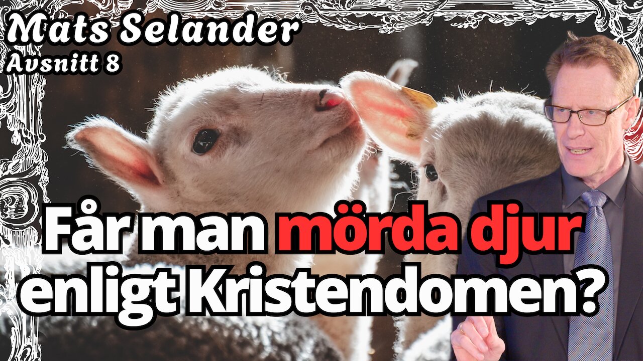 Kommer hundar till himlen? Är köttätande synd? Mats Selander svarar på om allt djur och kristendom