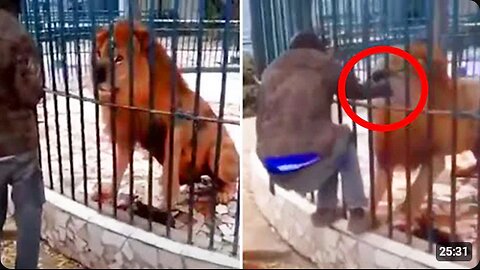 If These 20 Zoo Moments Were Not Filmed, No One Would Believe It