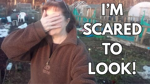 First visit to my allotment in nearly a month!