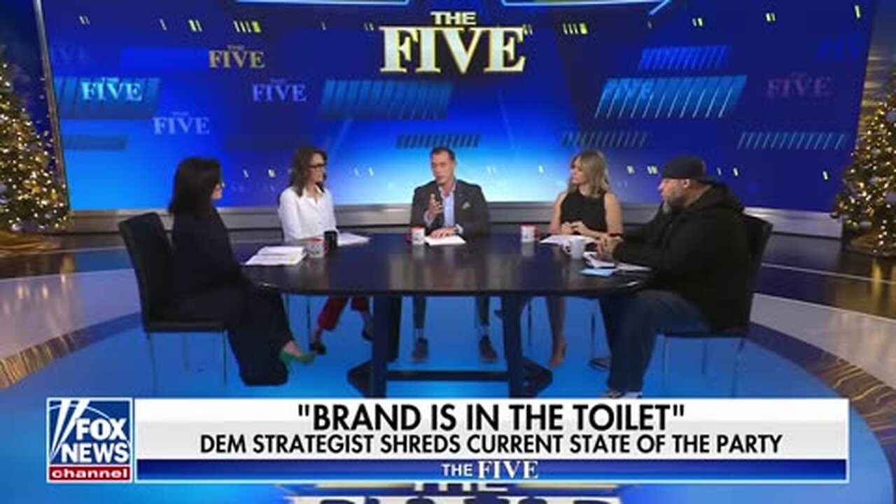 ‘IN THE TOILET’: Dem strategist shreds current state of the party