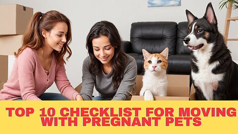 Top 5 Checklist for Moving with Pregnant Pets