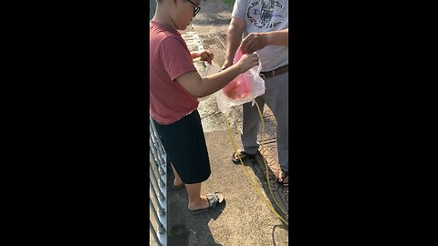 Ba hướng dẫn con cách phóng sinh cá chép vàng cúng ông công ông táo tại kênh nhiêu lộc