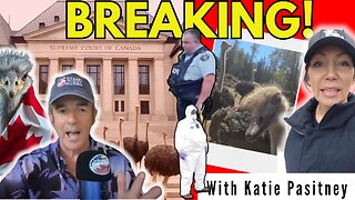 BREAKING: Supreme Court to Rule on Ostriches Nov. 6 | Stand on Guard