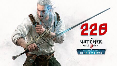 The Witcher 3 Wild Hunt GOTY Death March 228 The Painted World