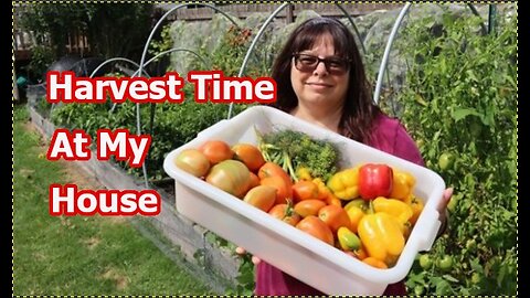 Backyard Garden Harvest Time Food Preserving Freezing Drying 2025