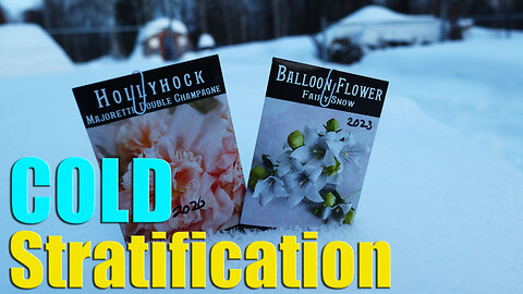 Cold Stratification: Why, How and When To Chill Your Seeds