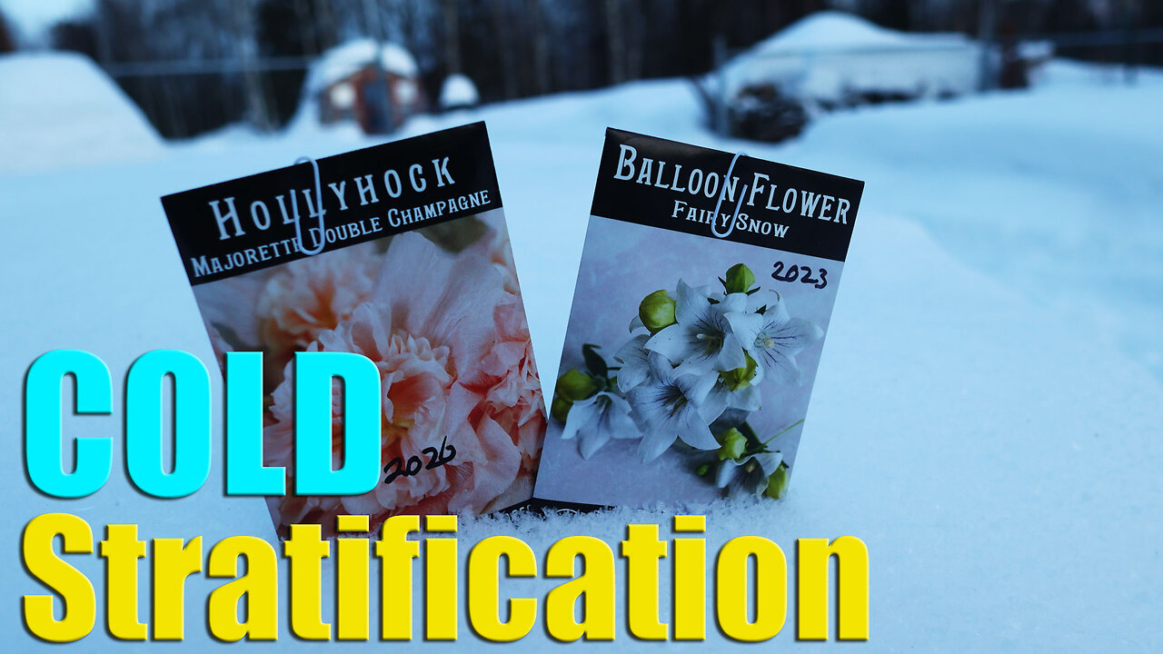 Cold Stratification: Why, How and When To Chill Your Seeds