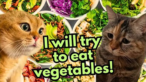 When a Cat Wants to Become a Vegetarian (Ep.36)