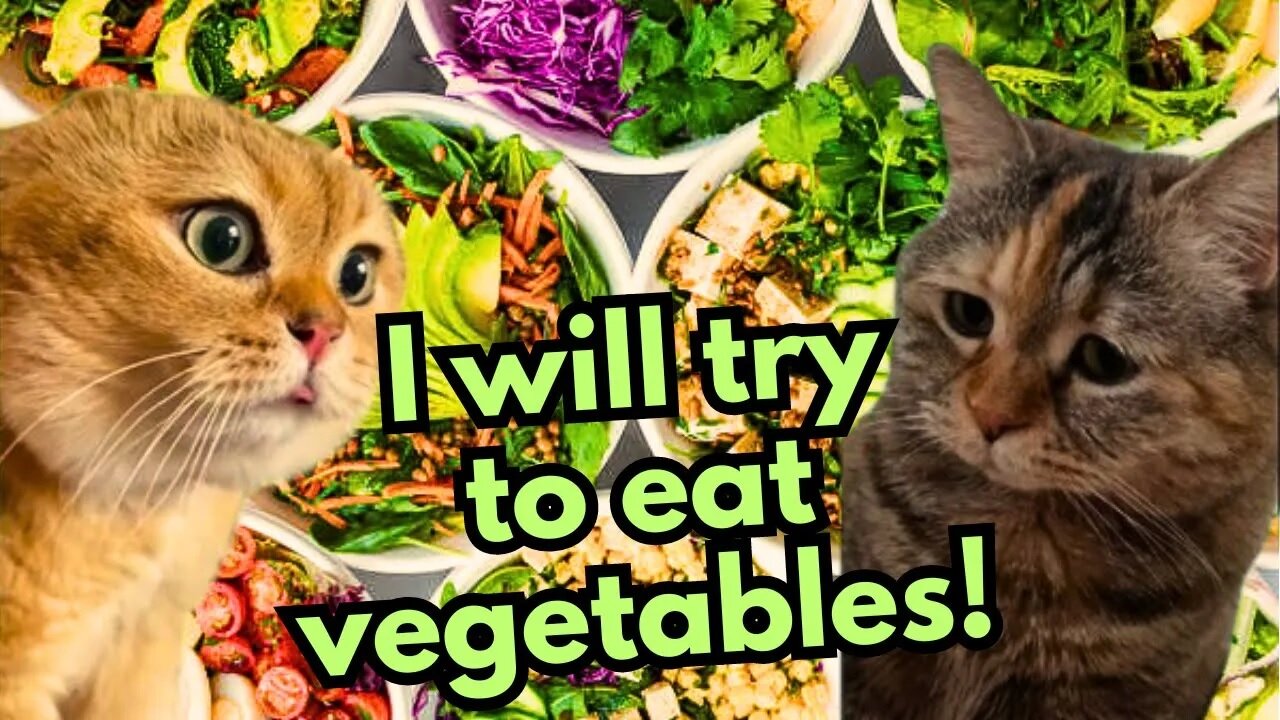 When a Cat Wants to Become a Vegetarian (Ep.36)