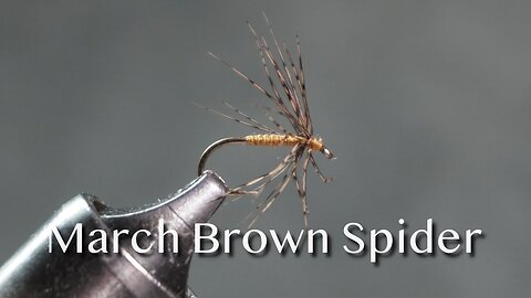 March Brown Spider fly pattern