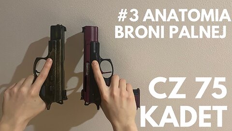 #6 Anatomia Broni Palnej | Pistolet Cz75 KADET 22lr. Szczegółowe i kompletne rozkładanie i składanie