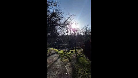 "Peaceful Walk at Pitlochry Dam | Stunning Scottish Scenery on a Sunny Day!"