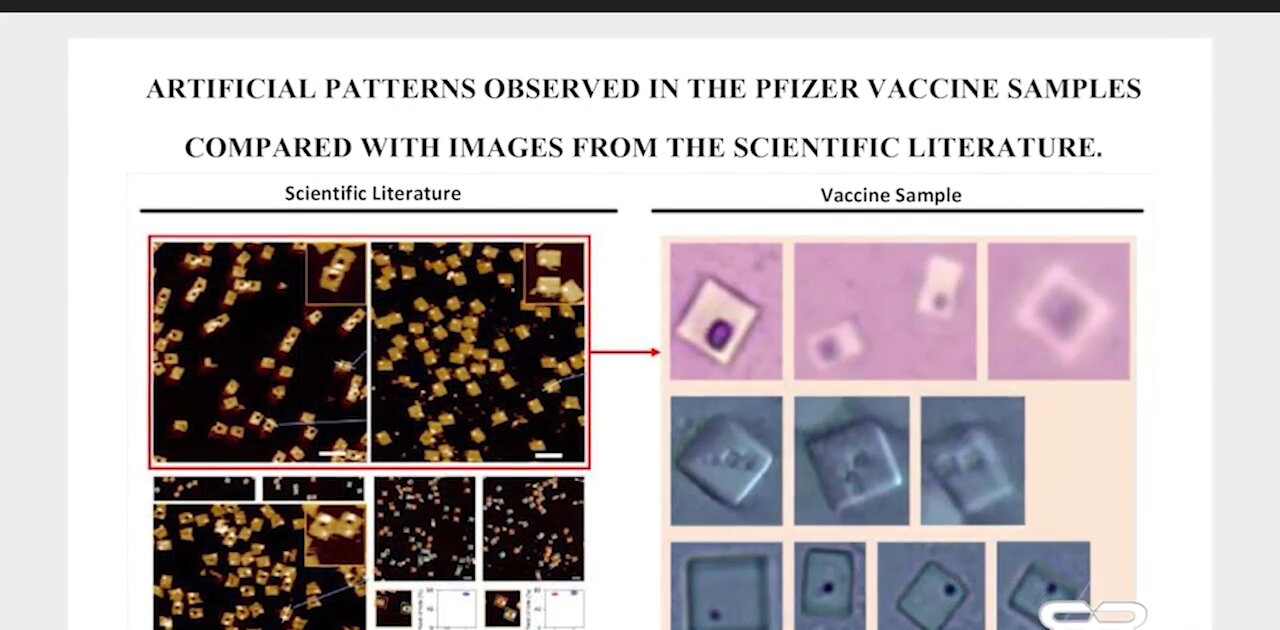 Doctor Lee and Professor Broudy: Covid-19 vaccines contain NANO-ROBOTS. Who controls them?