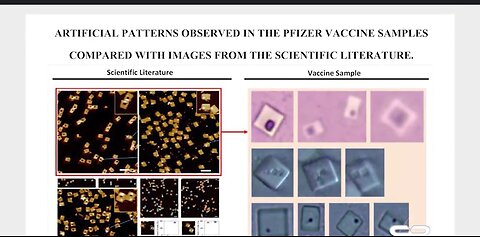 Doctor Lee and Professor Broudy: Covid-19 vaccines contain NANO-ROBOTS. Who controls them?