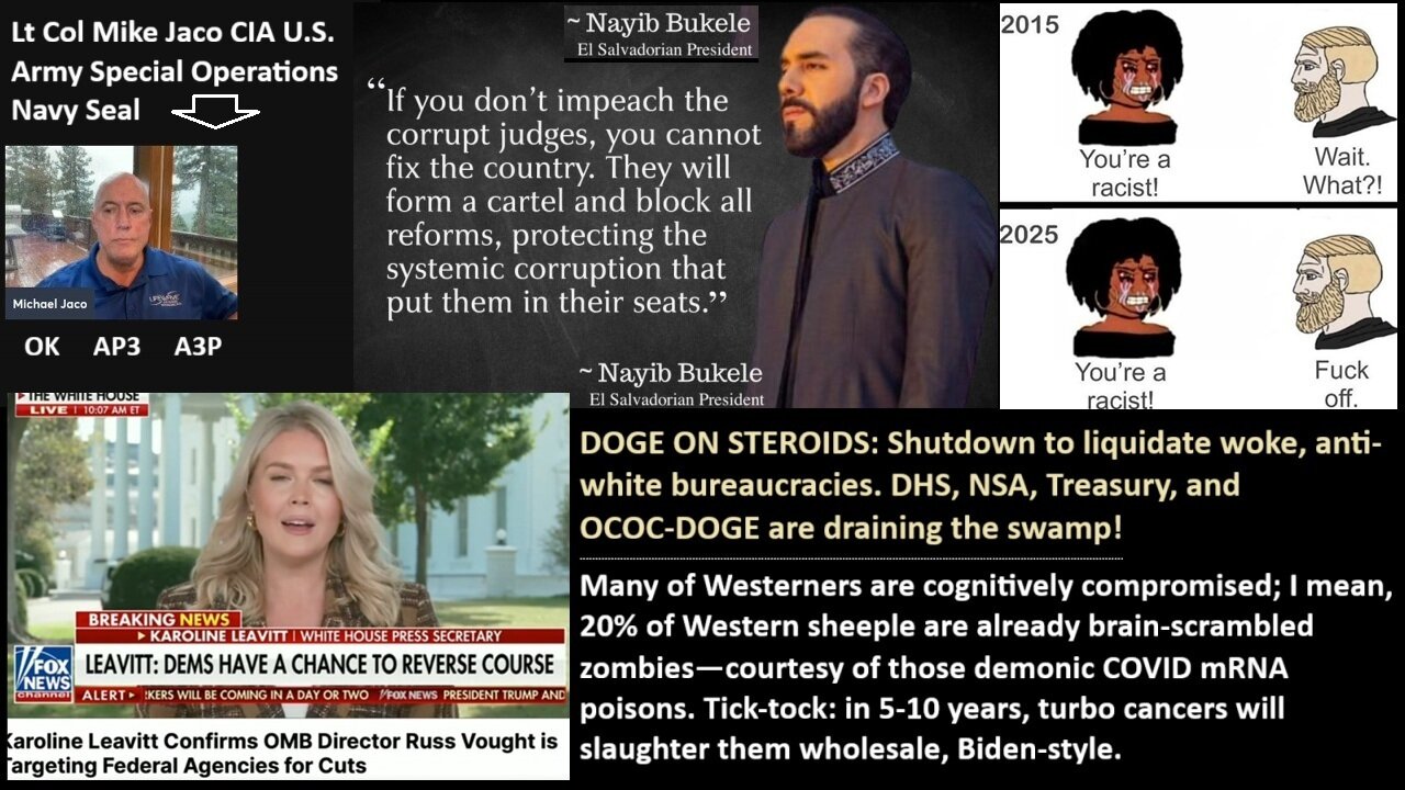 DOGE ON STEROIDS: Shutdown to liquidate woke, anti-white bureaucracies. DHS, NSA, Treasury, and OCOC-DOGE are draining the swamp.