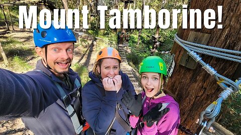 Epic Day at Mount Tamborine | Tree Top Challenge | Gallery Walk | Thunderbird Park | Gold Coast