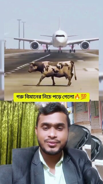 গরু বিমানের নিচে পড়ে গেলো 🧐💯 #shorts #viral #funny