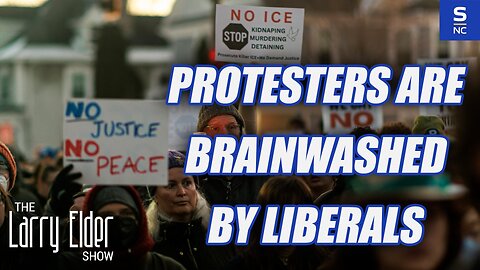 Protesters are Brainwashed by Liberals