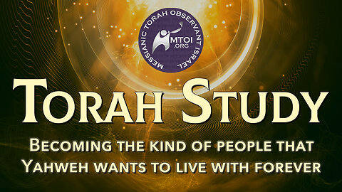 Vayigash | Genesis 44:18 - 47:27 | MTOI Weekly Torah Study