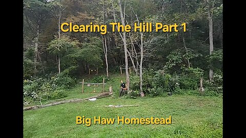 Clearing the Hill Part 1