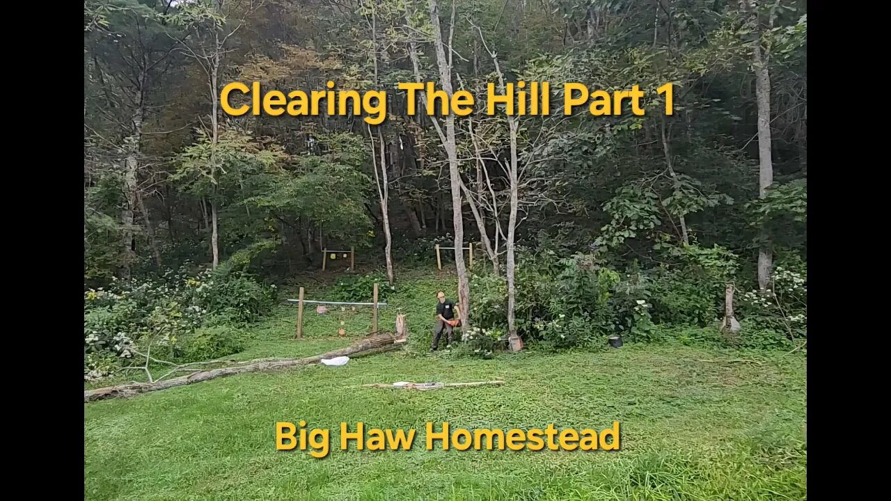 Clearing the Hill Part 1