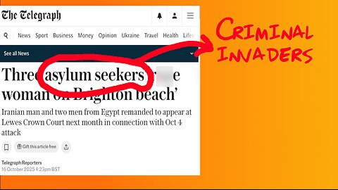 We Fund Interpreters for Criminal Migrants in Court