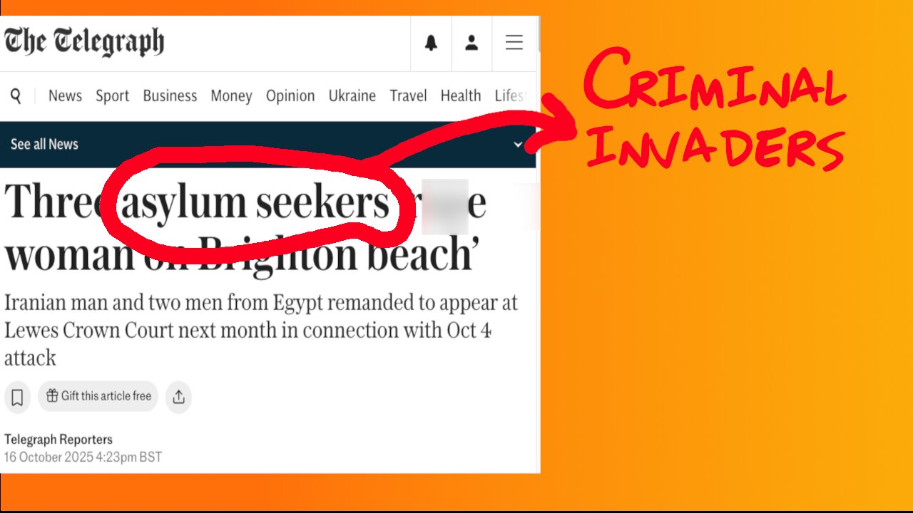 We Fund Interpreters for Criminal Migrants in Court