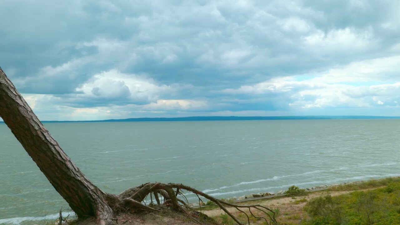 Windy Cliff Overlooking the Sea Wind & Waves for Sleep & Relaxation