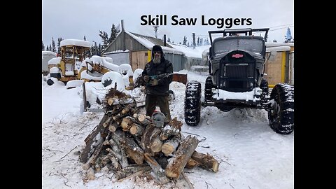 Pruning the Limbs on My Firewood Toothpick Trees Jan 23 2025