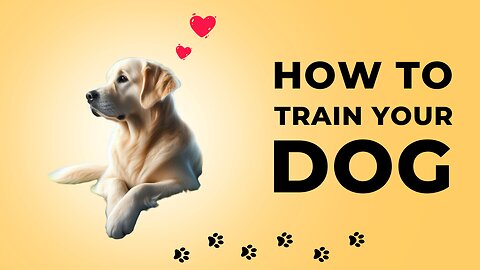 The Science of Dogs: How They Think, Feel, and Love