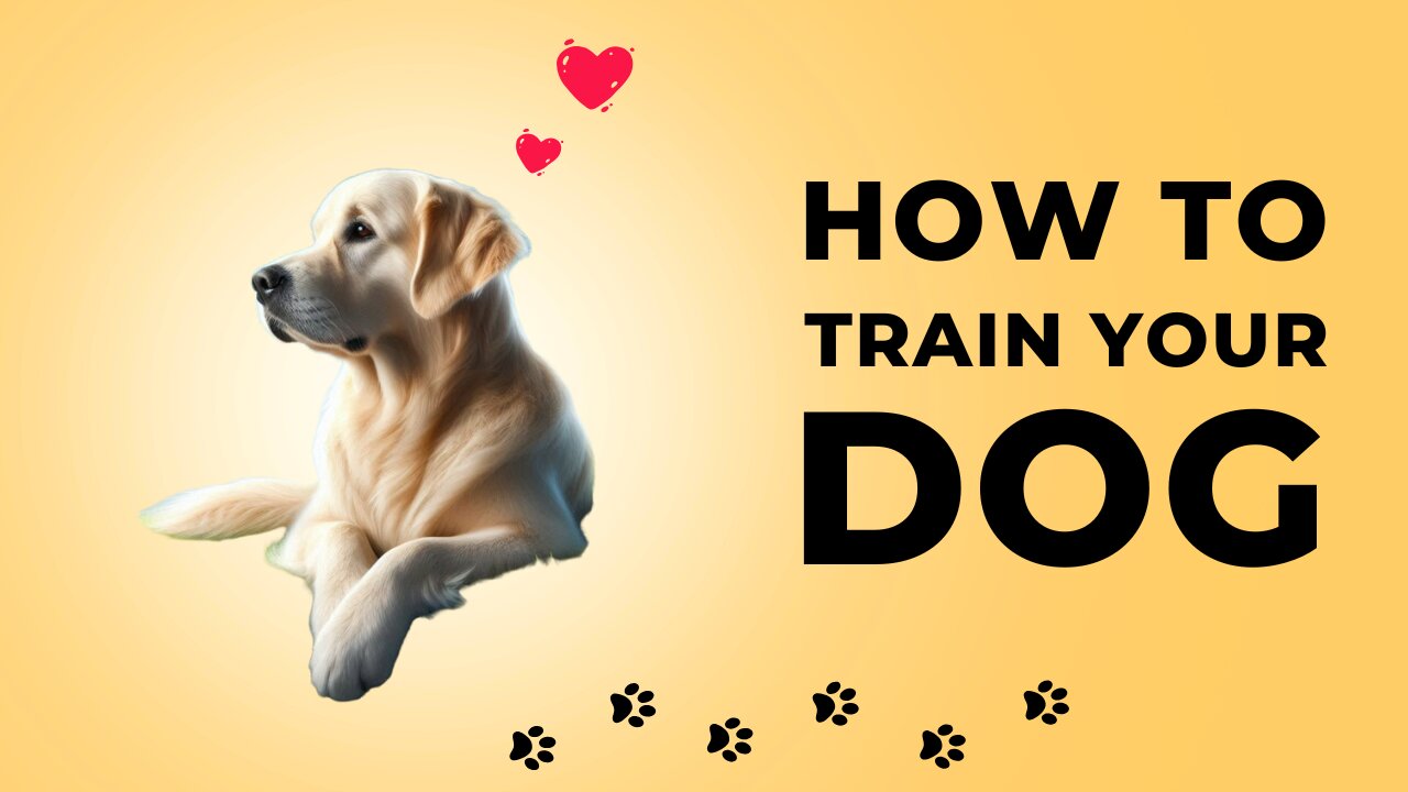 The Science of Dogs: How They Think, Feel, and Love