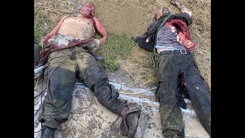 Война в Украине часть 456