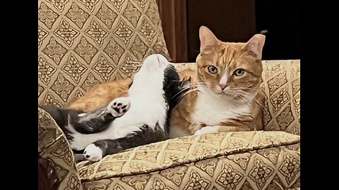 Episode 3031 CWSA 11/29/25