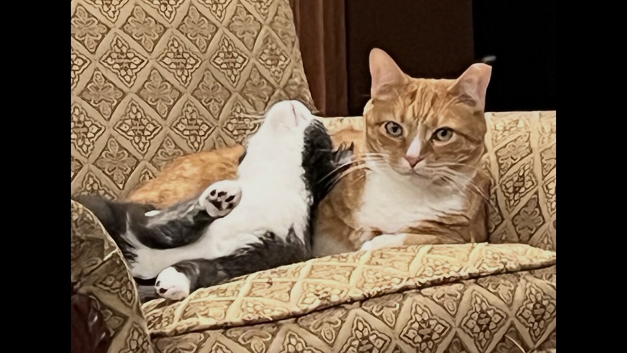 Episode 3031 CWSA 11/29/25