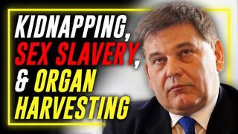 Former UK MP Says MI6 Covering Up Ukrainian Children Kidnapped For Sex Slavery & Organ Harvesting!