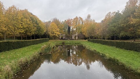 04/11/25 12mile trail run with willow molly out after