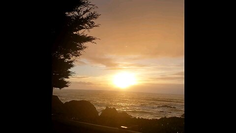 Warm winter days by the seaside, at Hidden Pines RV Campground on the California Norh Coast.