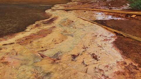 人類が南方海を渡った日：北豪到来の謎