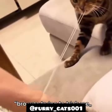 😂اینا عالین