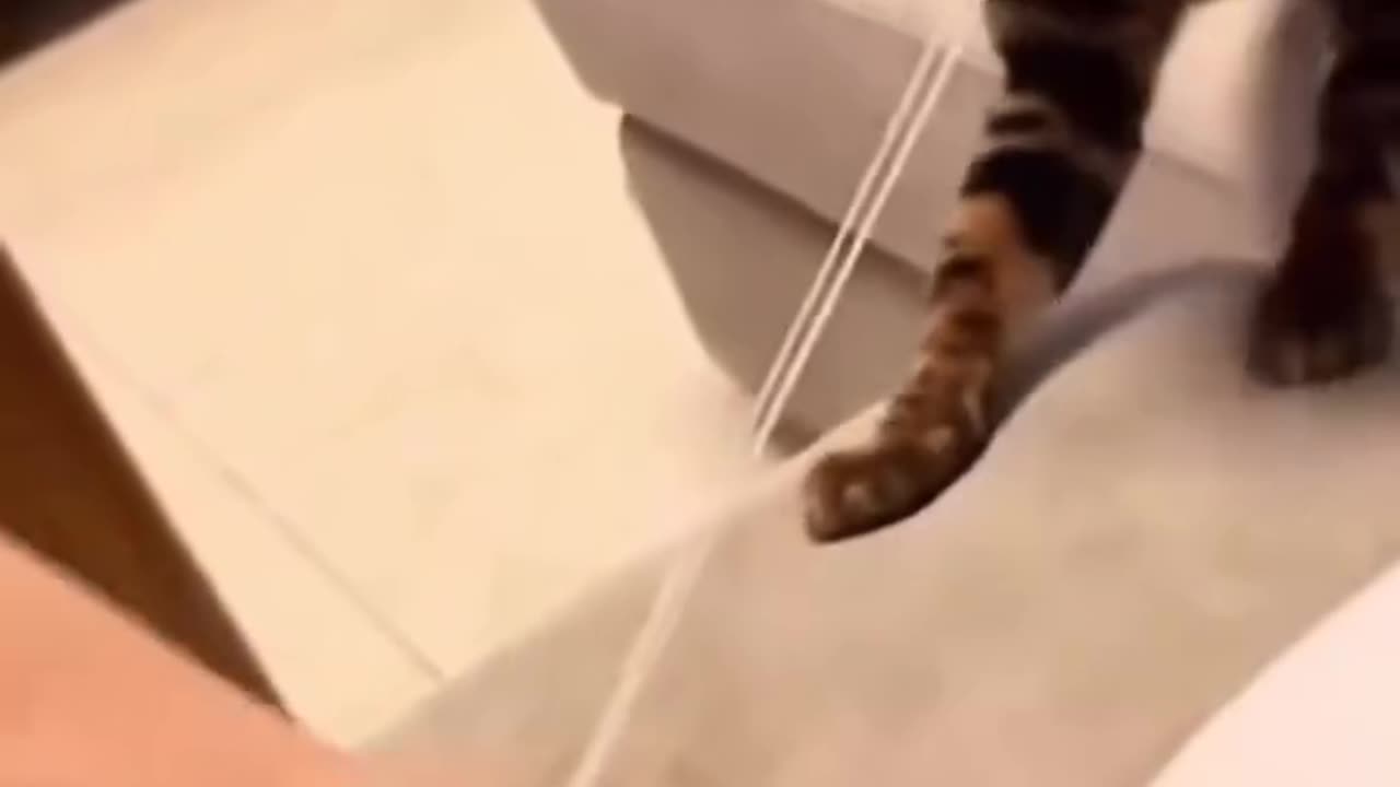 😂اینا عالین