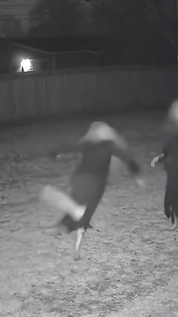 WITCHES Playing Catch Caught on CCTV #shorts #spooky #viral