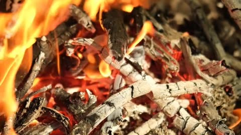 Daily Horoscope | Aries 🌟