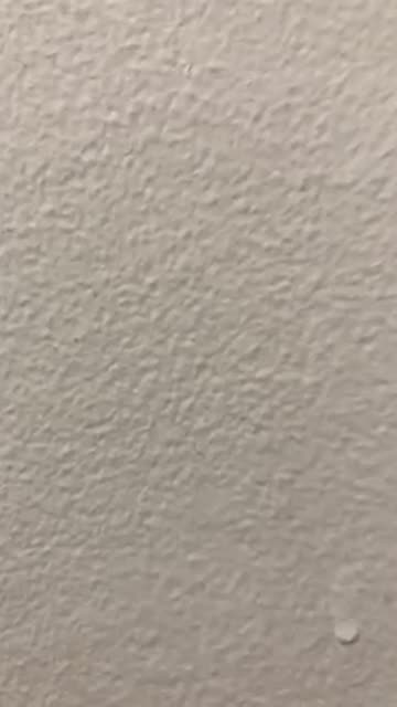 Two sexes, zero genders