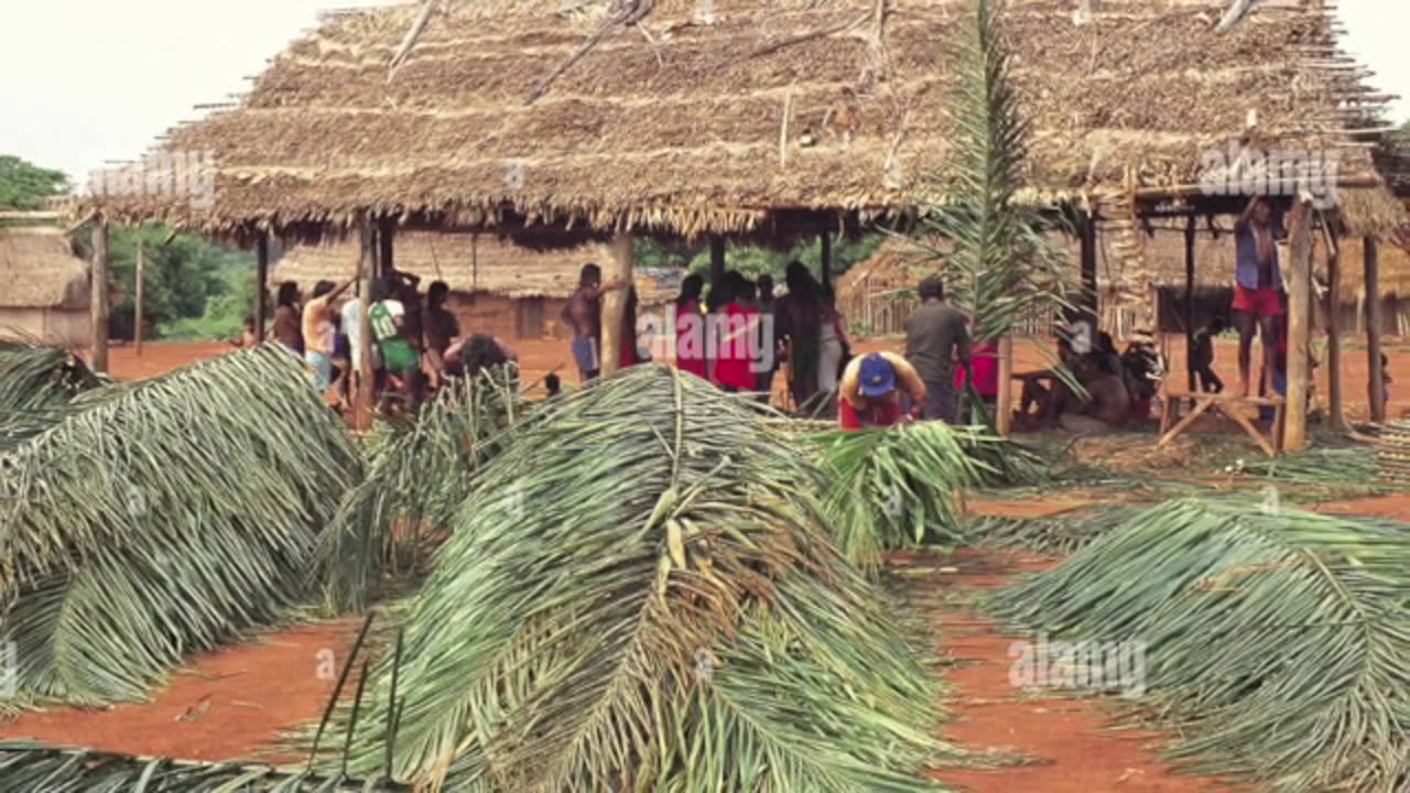 The Kayapo Tribe Of The Amazon Song In C Minor-Ryan & The Cat Daddy Band