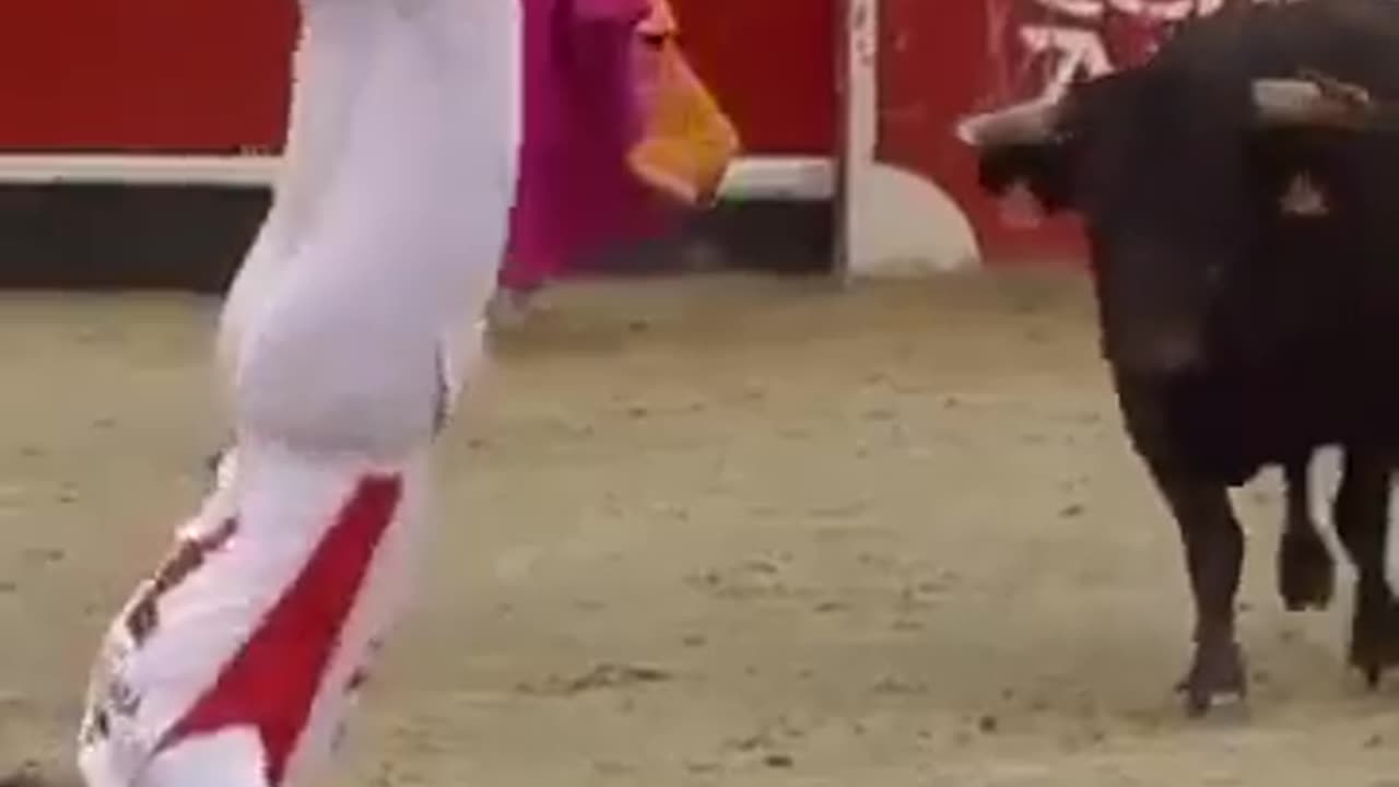 Man does a backflip over a charging bull